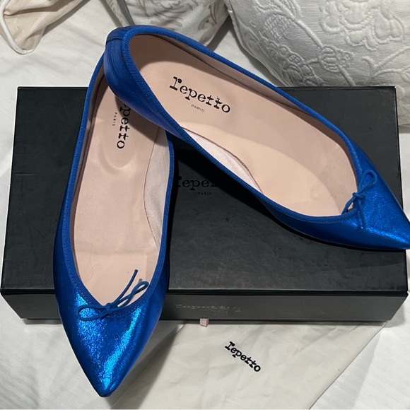 Repetto Shoes - Repetto “Brigitte” Pointed Toe Ballerina / Size 42 FR / Size 11 US